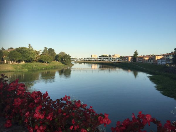 イタリア・ヴェネツィア「ヴェネツィア・パドヴァ・ヴェローナ」の写真：パドバ（パドヴァ）
ジョットのフレスコ画...