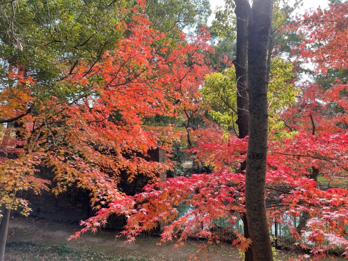 まだ紅葉も楽しめました