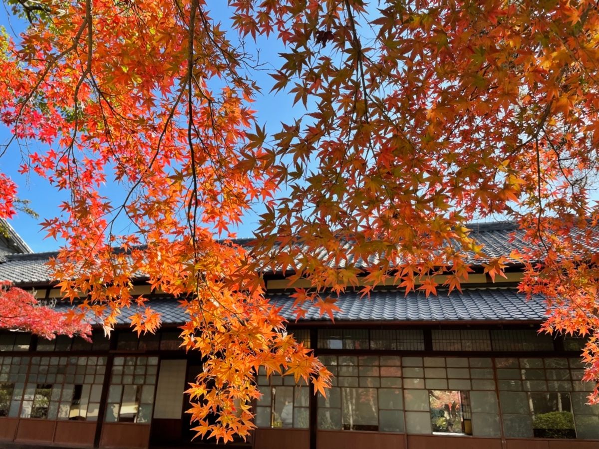 まだ紅葉も楽しめました