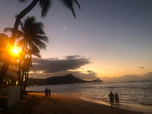 シーライフパークでのイルカショーが見応えあり！
イルカショー後に餌やり体験...
