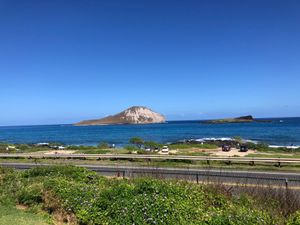 シーライフパークでのイルカショーが見応えあり！
イルカショー後に餌やり体験...