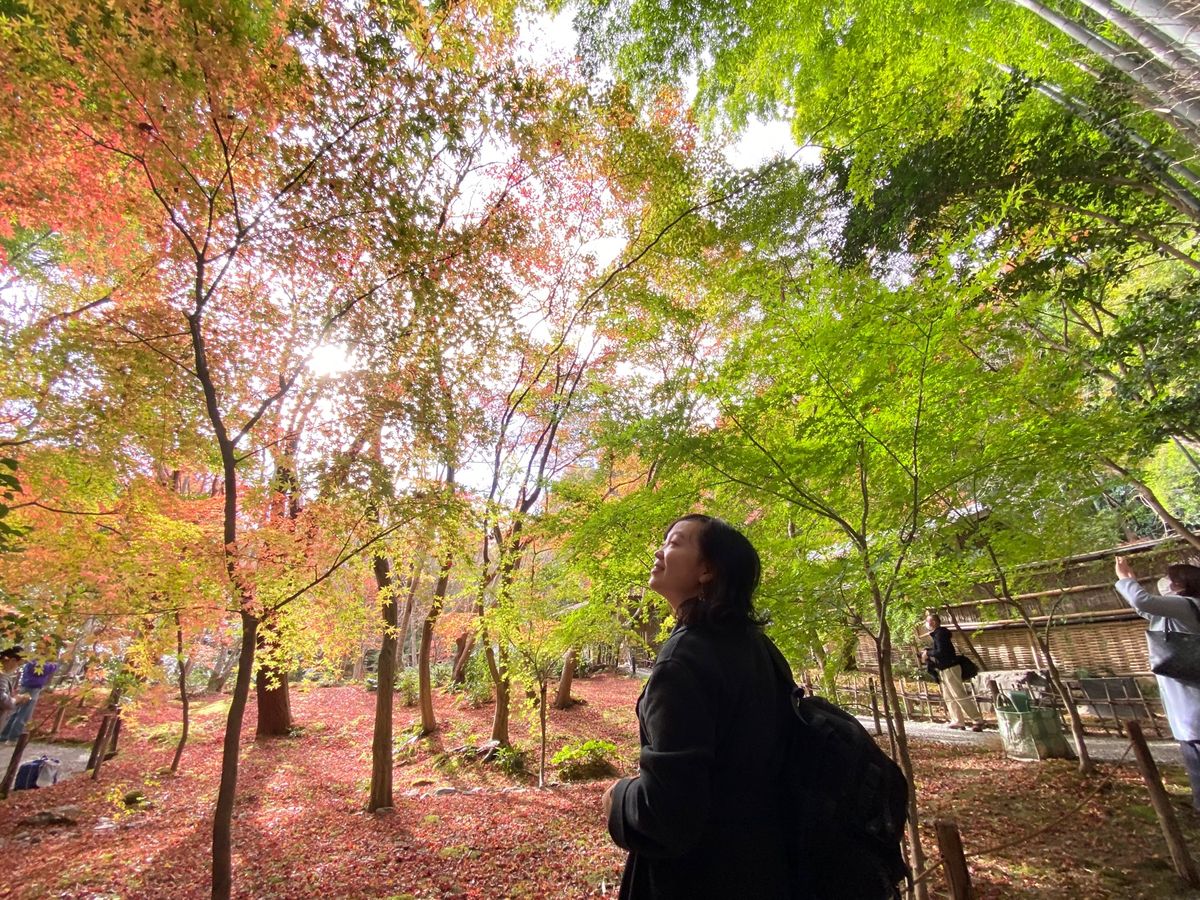 1枚目の写真に実は薄ら虹が写っております。だいぶ薄いですが笑