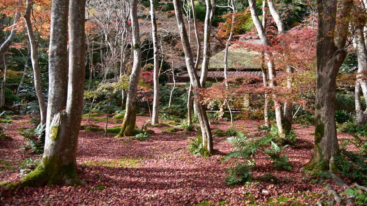 1枚目の写真に実は薄ら虹が写っております。だいぶ薄いですが笑