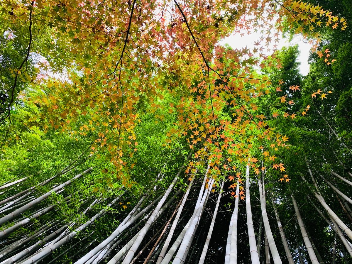 1枚目の写真に実は薄ら虹が写っております。だいぶ薄いですが笑