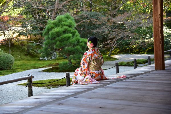 日本「京都～のんびり旅～」の写真：紅葉の盛りを過ぎてしまったため、着物をお...