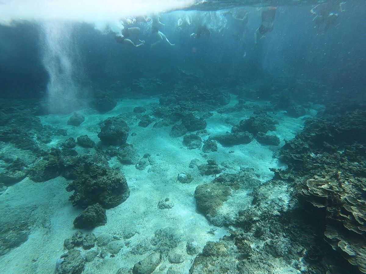 パラワン島エルニド
まだリゾート地として開発もされてなく、穏やかな村の中に...