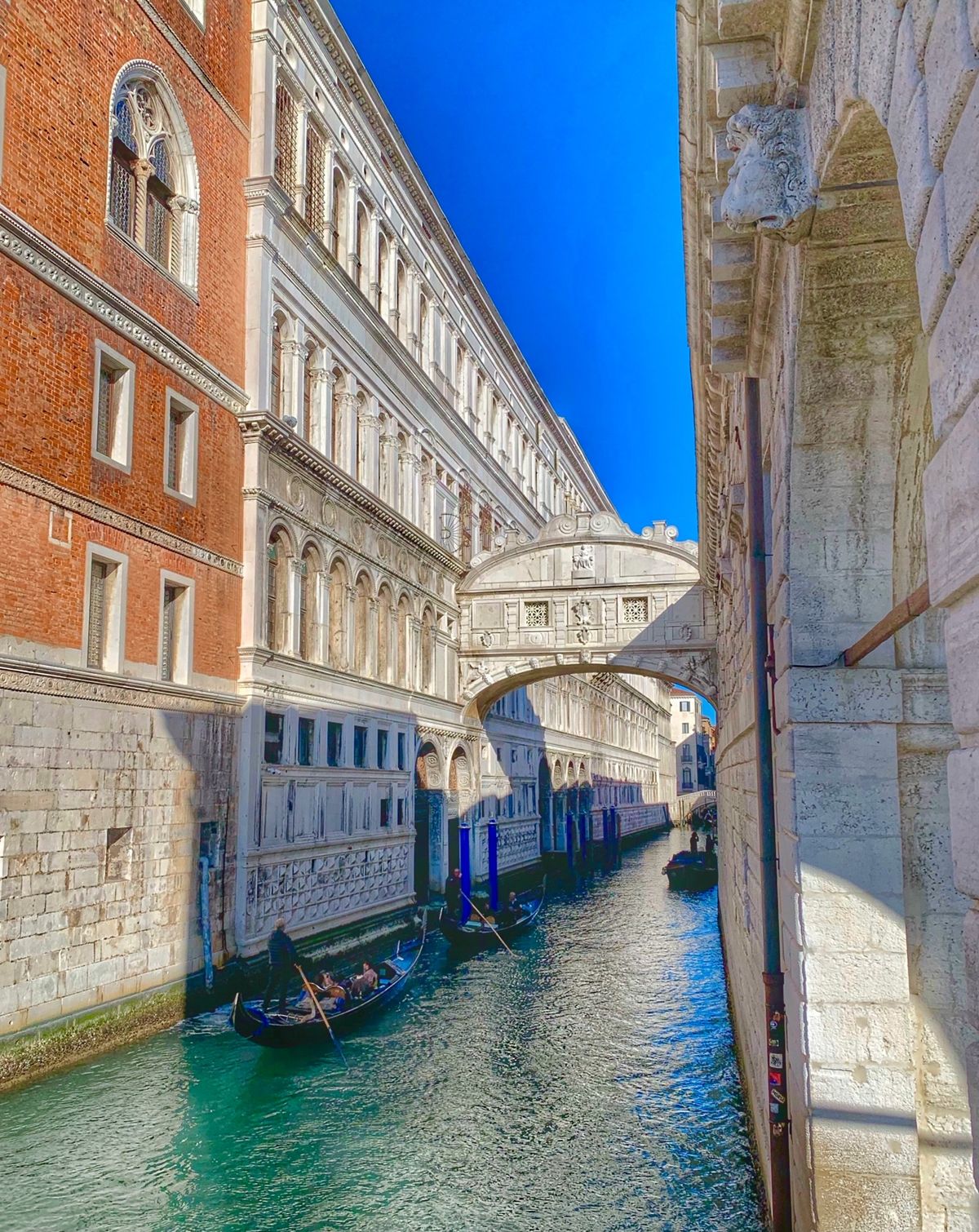 27th Feb. 2020 pic📷

Venezia

ベネツィアでゴ...