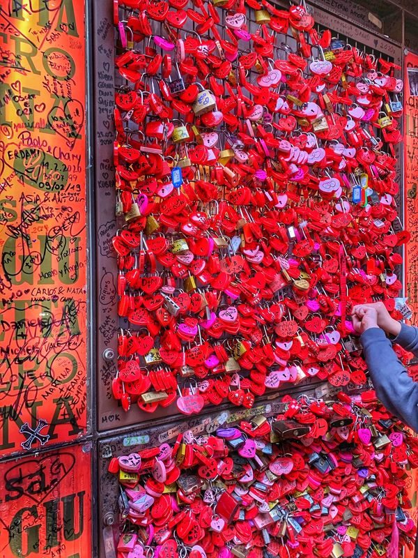 イタリア・ローマ「Italy🇮🇹job⚑⁎∗」の写真：26th Feb. 2020 pic📷
...