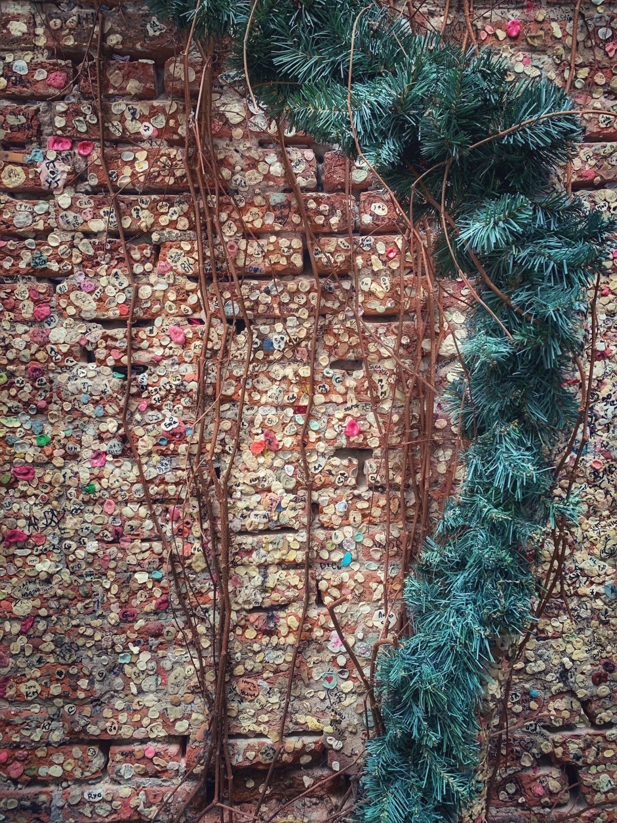 26th Feb. 2020 pic📷

Casa di Giuliett...