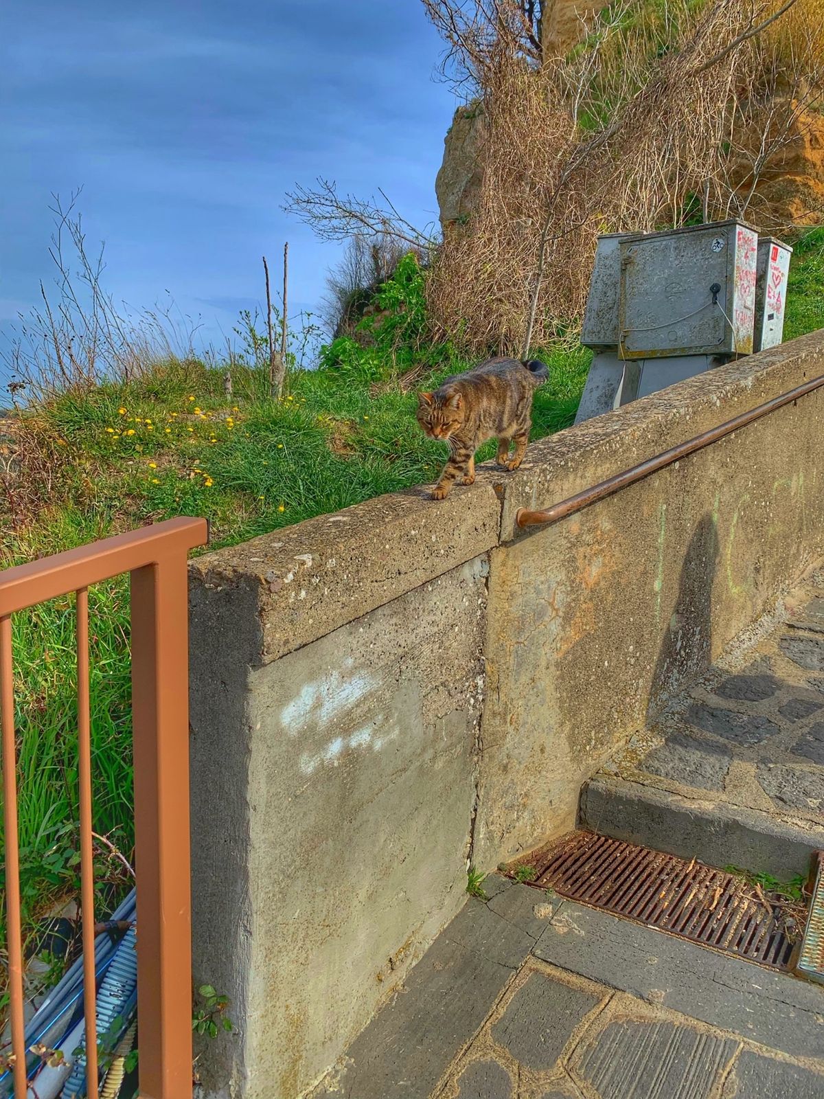29th Feb. 2020 pic📷

Civita di Bagnor...
