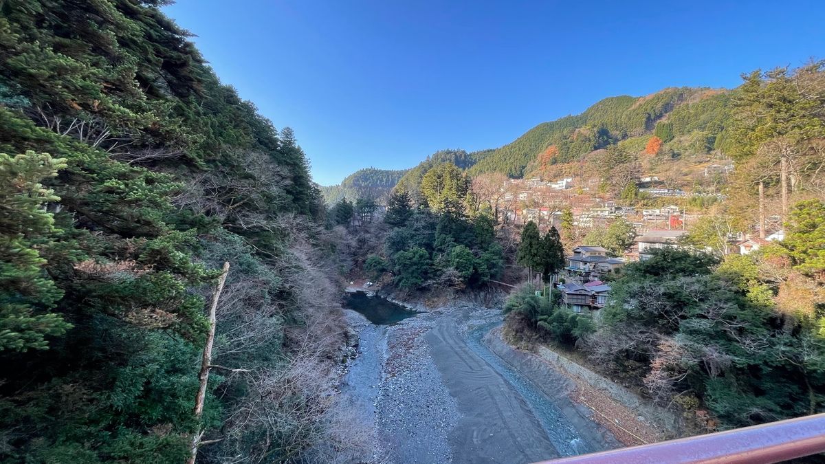 自然の中で仕事しようと思い、氷川キャンプ場に何も持たずにやってきた。
メジ...