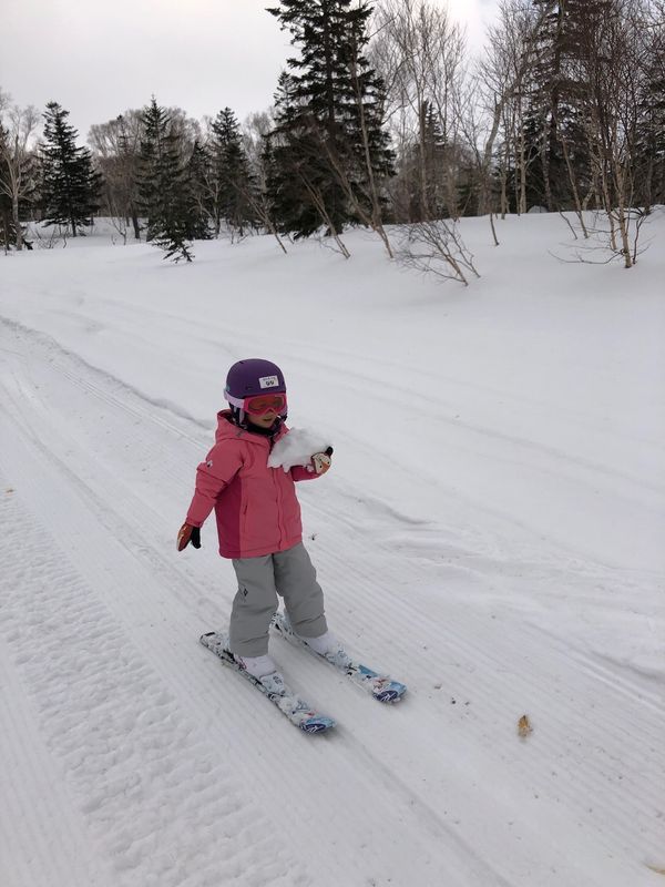日本・北海道「北海道スキー　キロロ　kiroro」の写真
