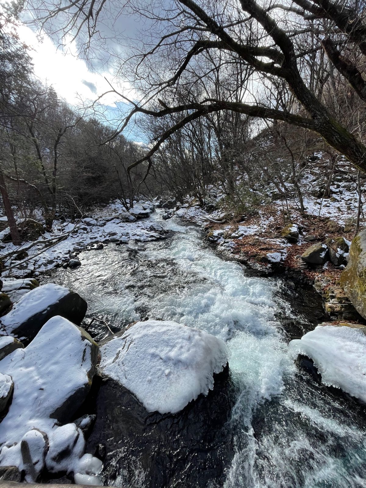 昼の後「大滝」へ
ホテルから歩いて5分くらいの所に渓谷に降りる階段がある。...
