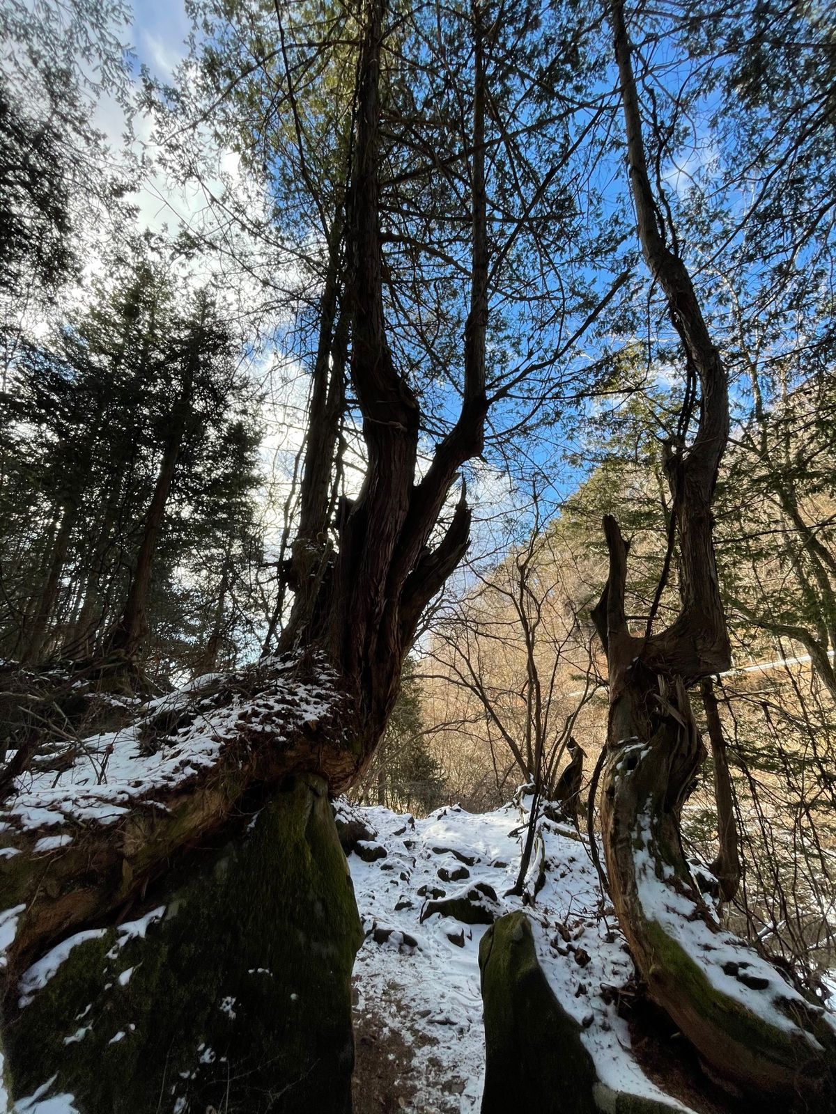 昼の後「大滝」へ
ホテルから歩いて5分くらいの所に渓谷に降りる階段がある。...