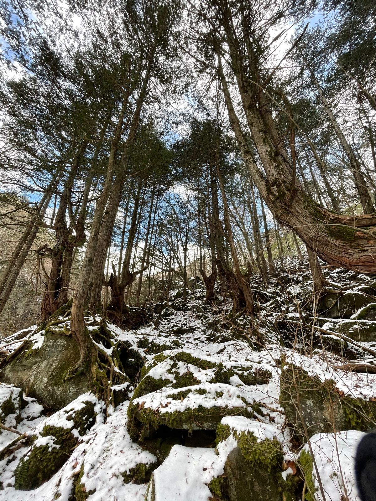 昼の後「大滝」へ
ホテルから歩いて5分くらいの所に渓谷に降りる階段がある。...