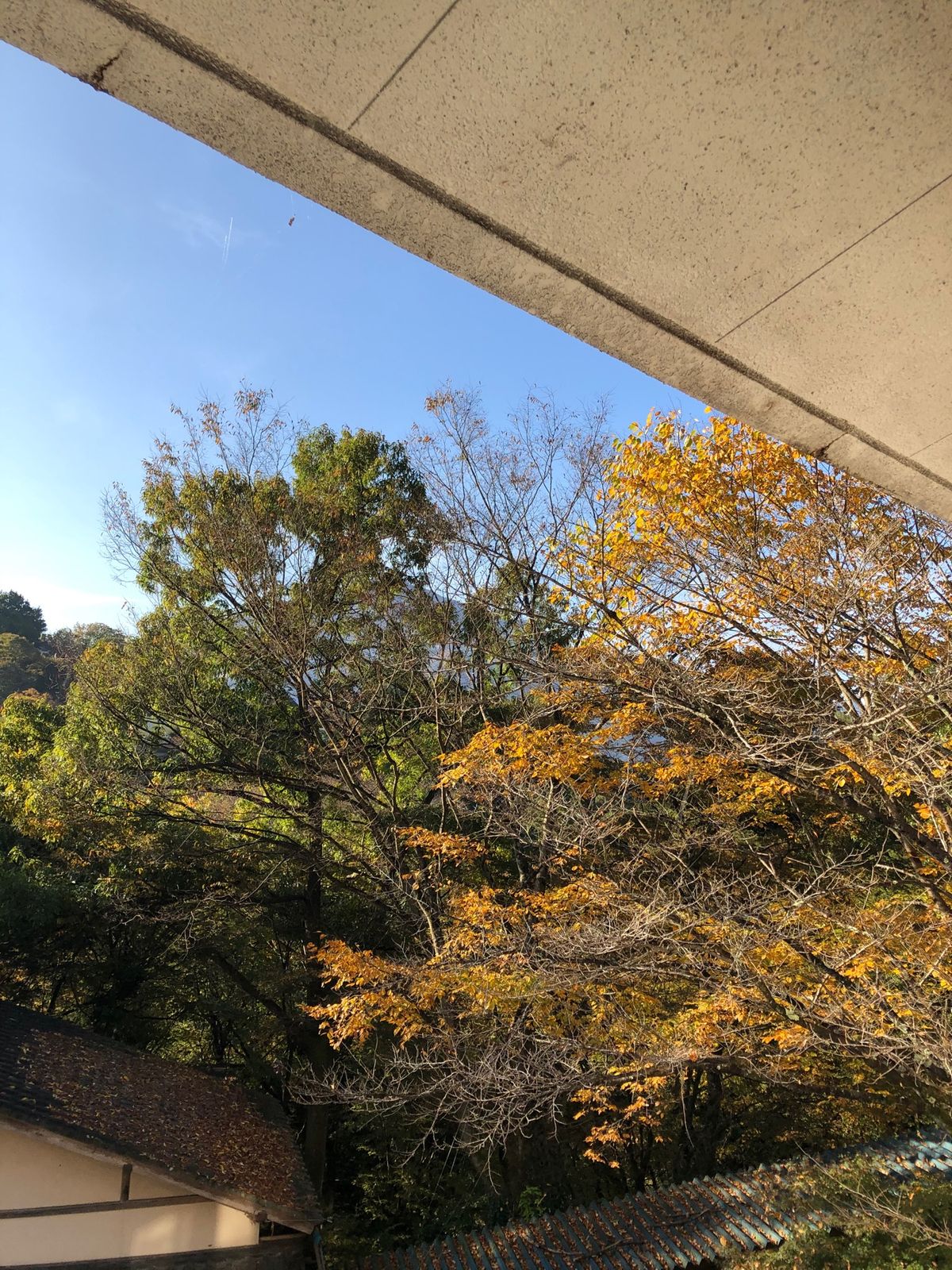 お宿は丸山鉱泉旅館。
薬湯風呂が目玉らしい。
ご飯は噂に違わずボリューム満...