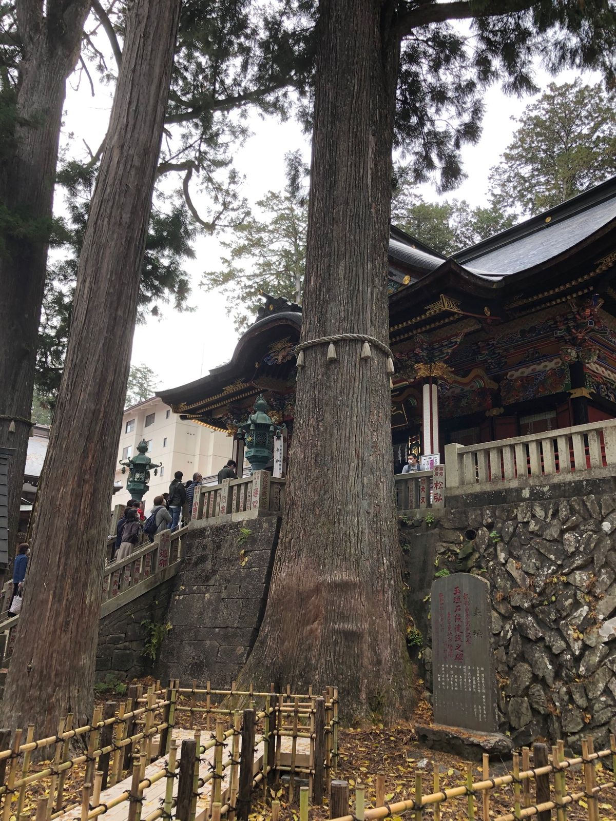 パワースポット、三峰神社へ。
とても荘厳な雰囲気だった（語彙力…！）
切り...