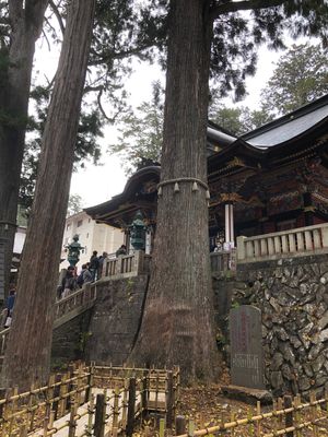 パワースポット、三峰神社へ。
とても荘厳な雰囲気だった（語彙力…！）
切り...