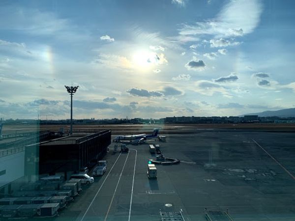 日本・京都府「KYOTO」の写真：帰りは伊丹から飛行機で。
ANAのラウ...