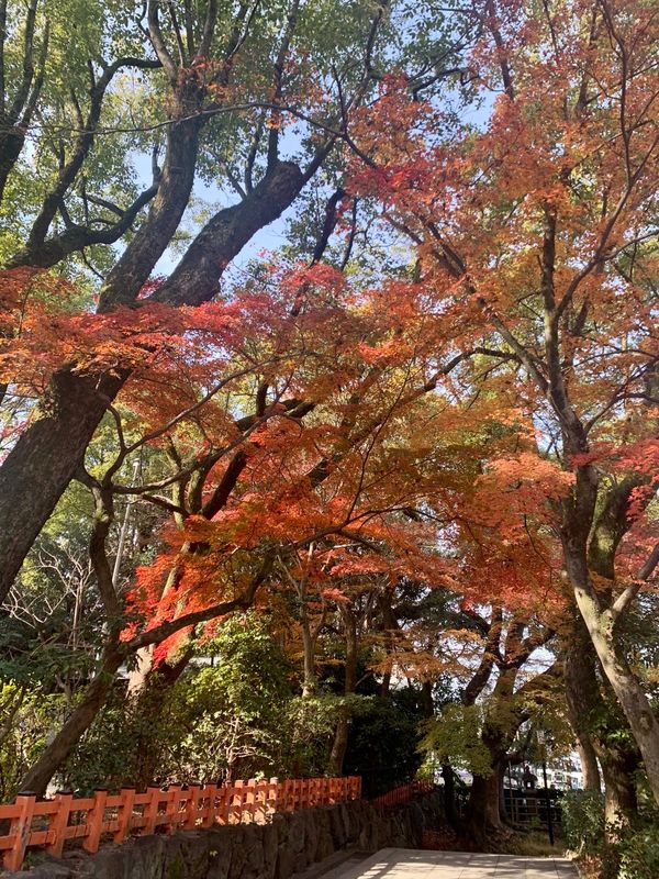 日本・京都府「KYOTO」の写真