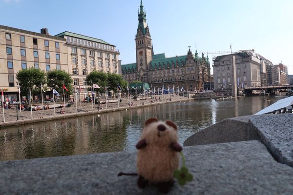 ドイツ・Hamburg「ハンブルク留学」の写真：Rathaus
