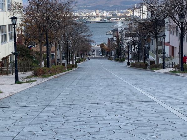 日本・北海道「修学旅行以来の函館」の写真：私が北海道に行くと大体どこかが大規模工事...