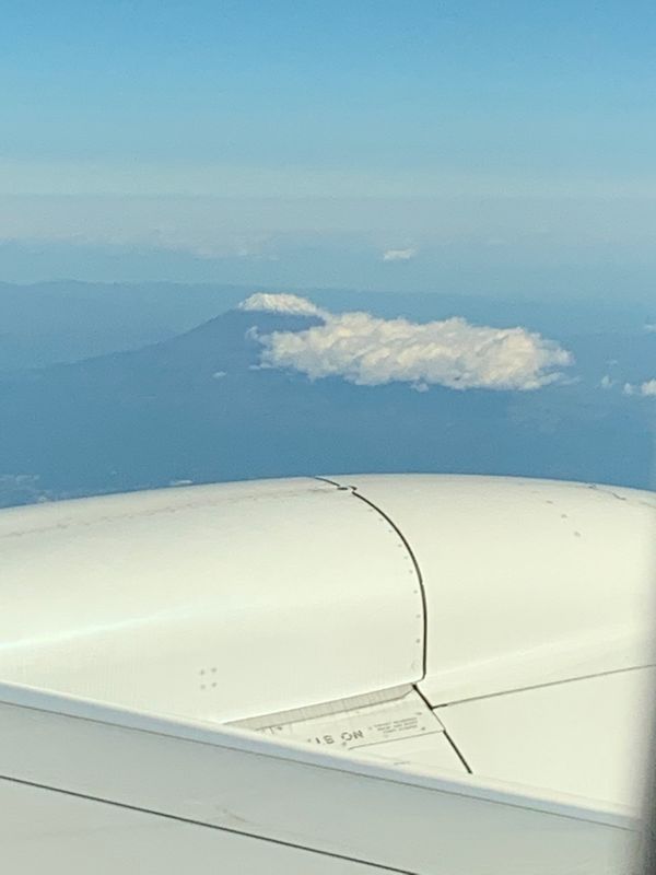 日本・北海道「修学旅行以来の函館」の写真：日程を決めたのが急すぎて伊丹からの直行便...