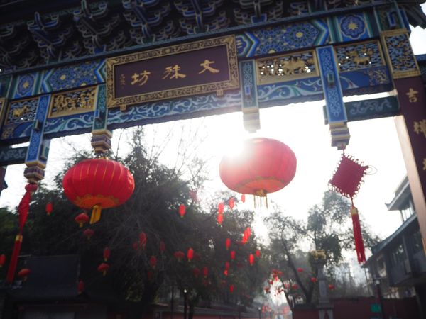 中国・四川「四川料理とパンダ🐼」の写真