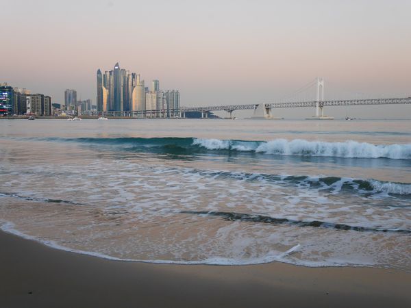 大韓民国 (韓国)・釜山「年末釜山」の写真