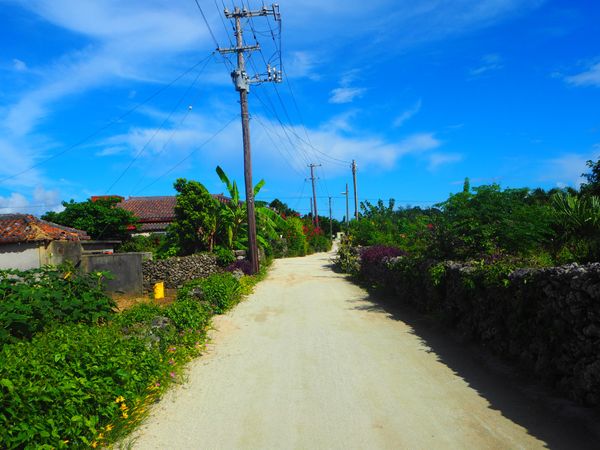 日本・竹富島「八重山諸島🐃🌺」の写真