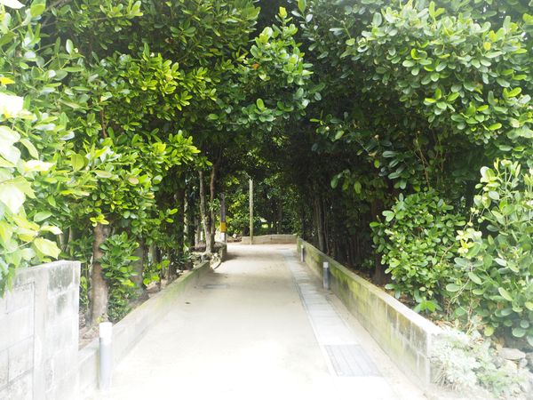 日本・渡名喜島「渡名喜島⛵️」の写真