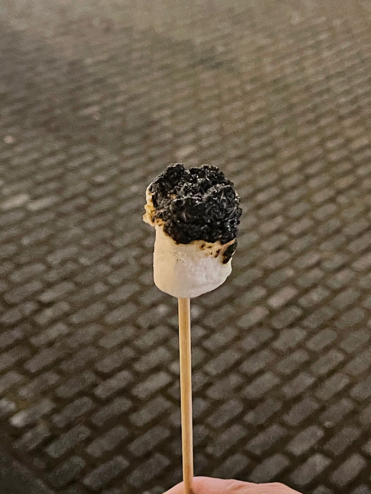 星のや富士お同じく焼きマシュマロがありました
2枚目は次男による力作です（...