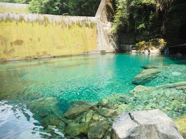 日本・高知「真夏の高知🌊」の写真