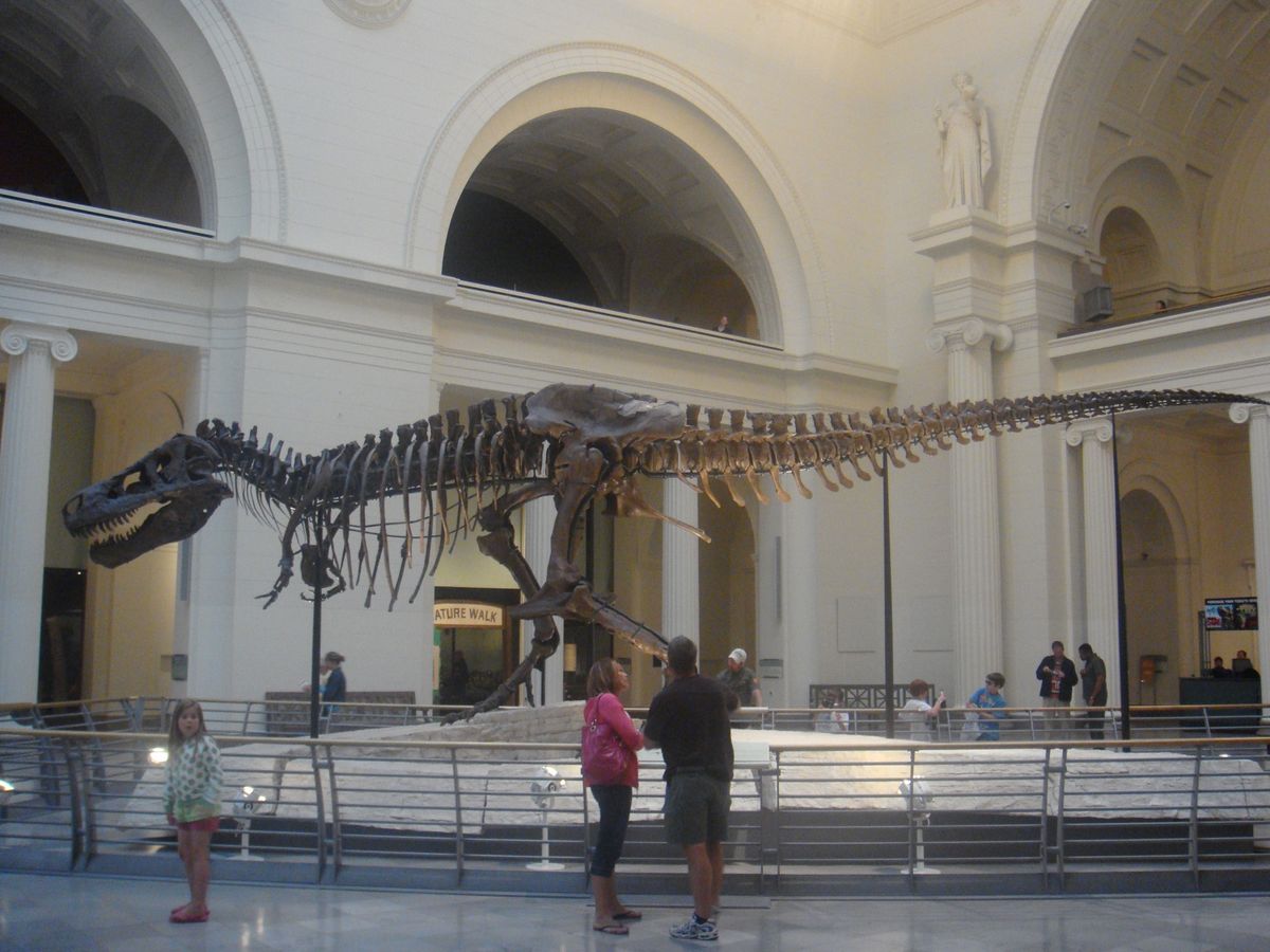 @Field Museum of Natural History①
後輩セ...