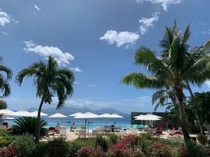 7th Feb. 2020 pic📷

in TAHITI🇵🇫
夜便なので...