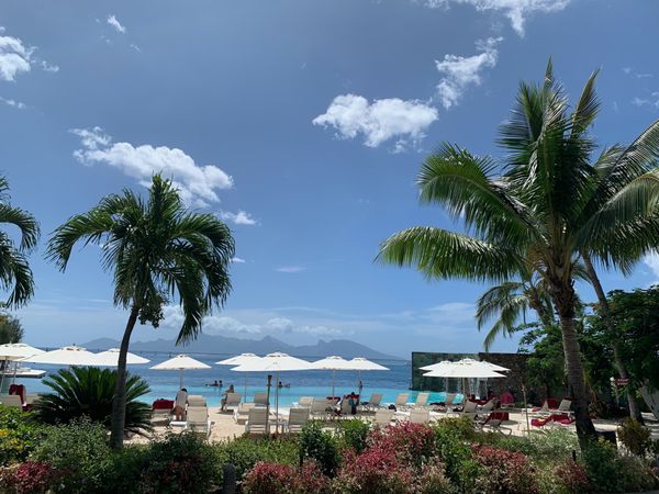 仏領ポリネシア・タヒチ「Tahiti🇵🇫Moorea第８回母娘旅行👩‍👧*°」の写真：7th Feb. 2020 pic📷

...