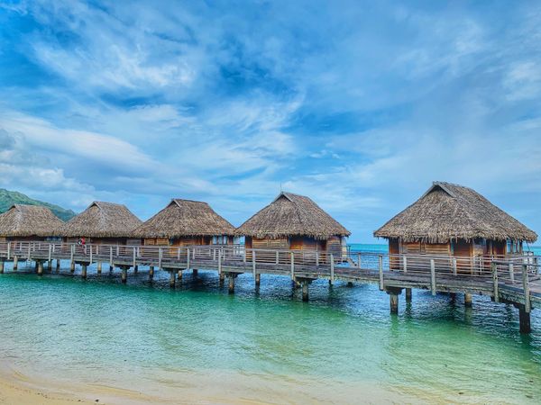 仏領ポリネシア・タヒチ「Tahiti🇵🇫Moorea第８回母娘旅行👩‍👧*°」の写真：6th Feb. 2020 pic📷

...