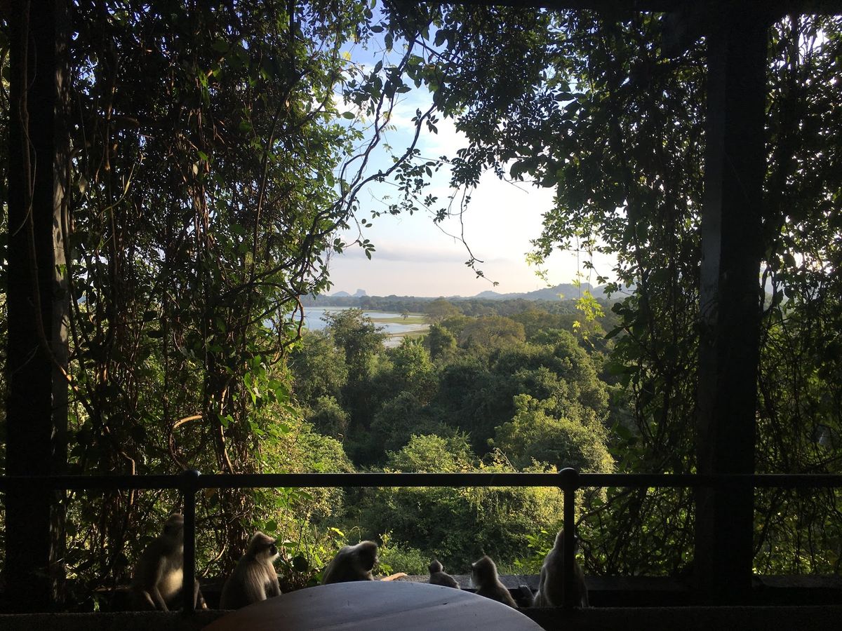 バワの書き物机が最高の落ち着く場所でした。