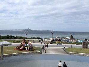 イルカショーの動画