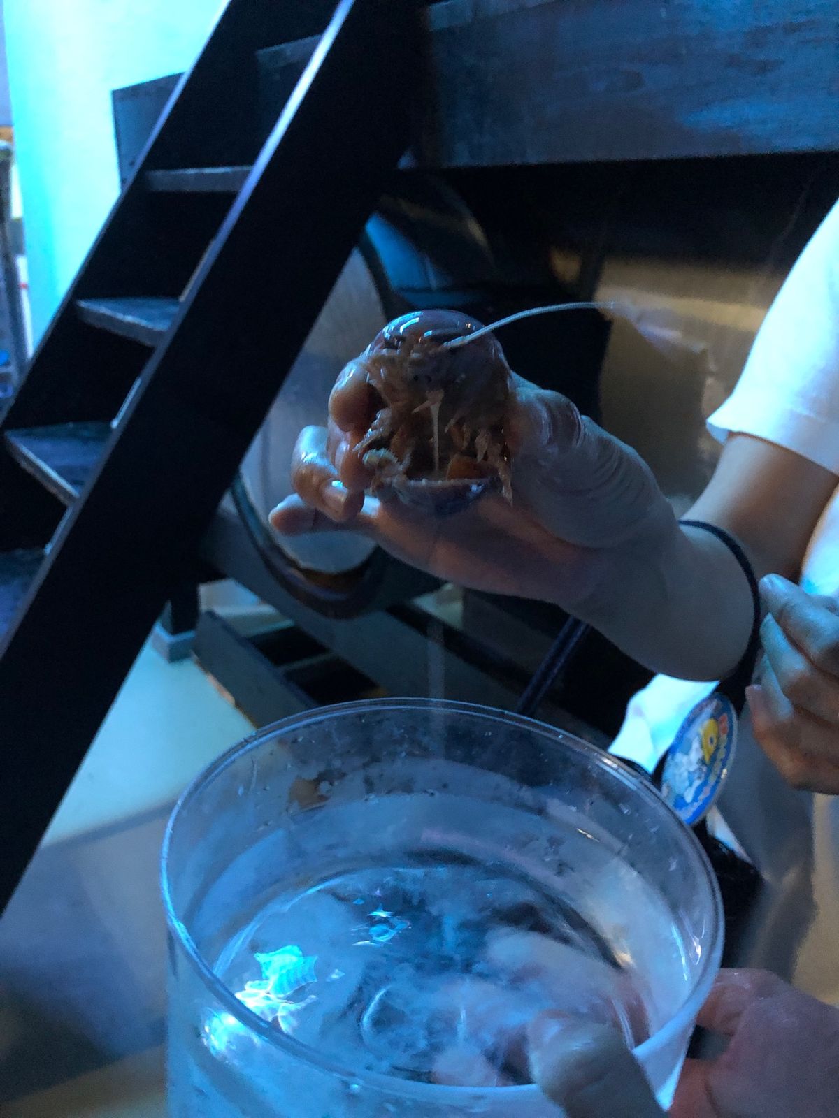 バックヤードツアー1