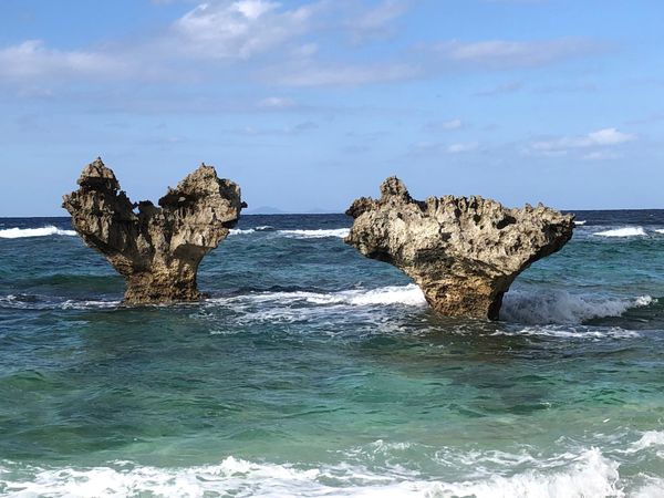 日本・那覇「沖縄　美ら海水族館満喫の旅」の写真