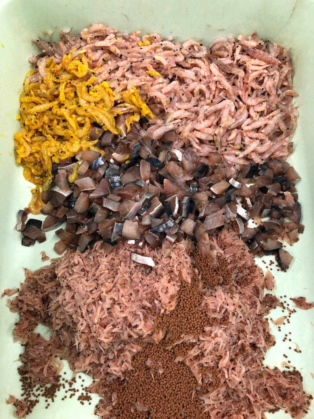 バックヤードツアー1