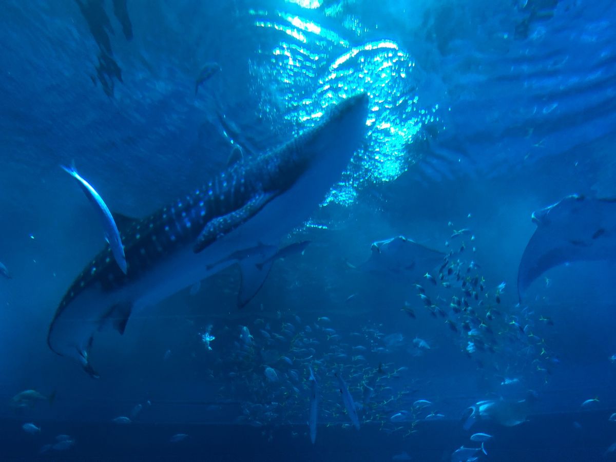 モグモグタイム