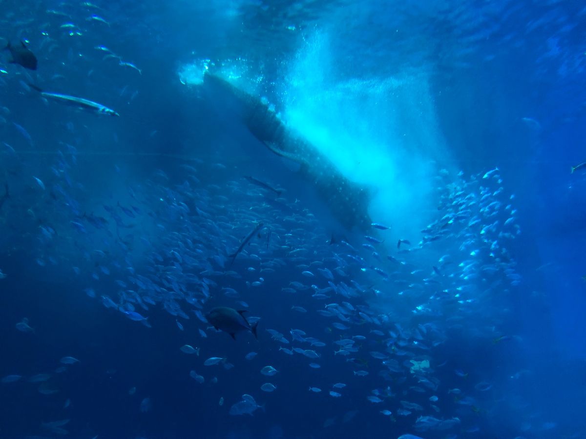 モグモグタイム