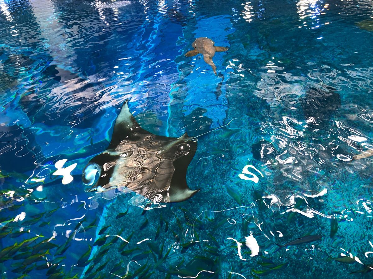 バックヤードツアー1