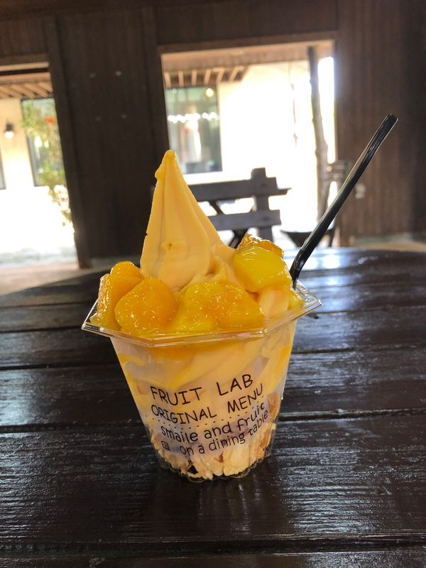 日本・那覇「沖縄　美ら海水族館満喫の旅」の写真