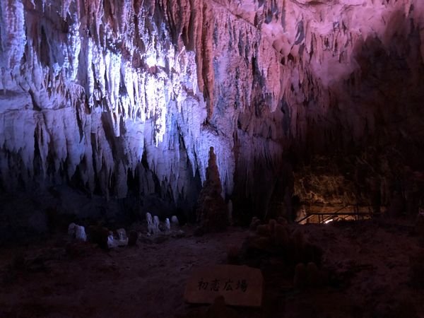日本・那覇「沖縄　美ら海水族館満喫の旅」の写真：玉泉洞