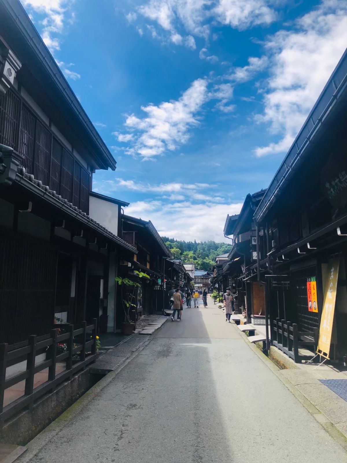 部屋、食事、宿、風呂、観光、ともに極上。