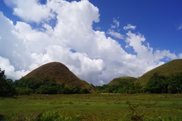 フィリピン「【海外】セブ島」の写真：ボホール島(^-^)チョコレートヒルズ見...