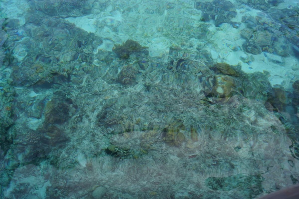 バリカザク島(´∇｀)
海が綺麗！！！ウミガメと出会えた(Ｔ▽Ｔ)♥